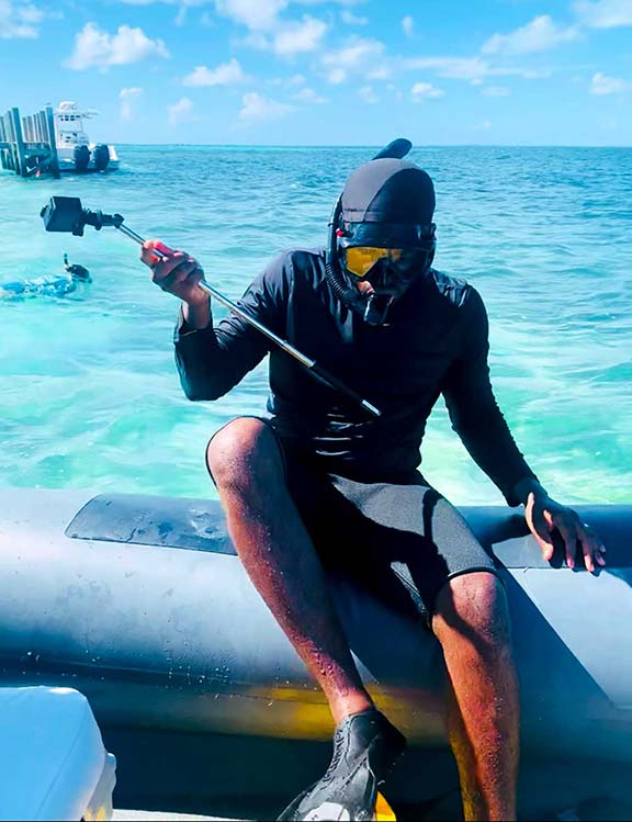 shark research proposal by Remus Bulmer with words that explain that