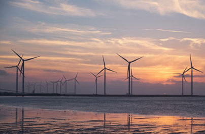 a field of wind mills during sunset