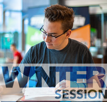 Winter Session image