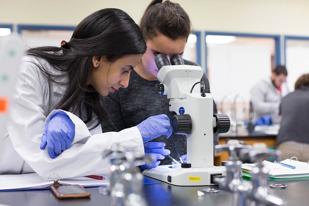 two female students working in a biollgy lab looing at slides through a microscope