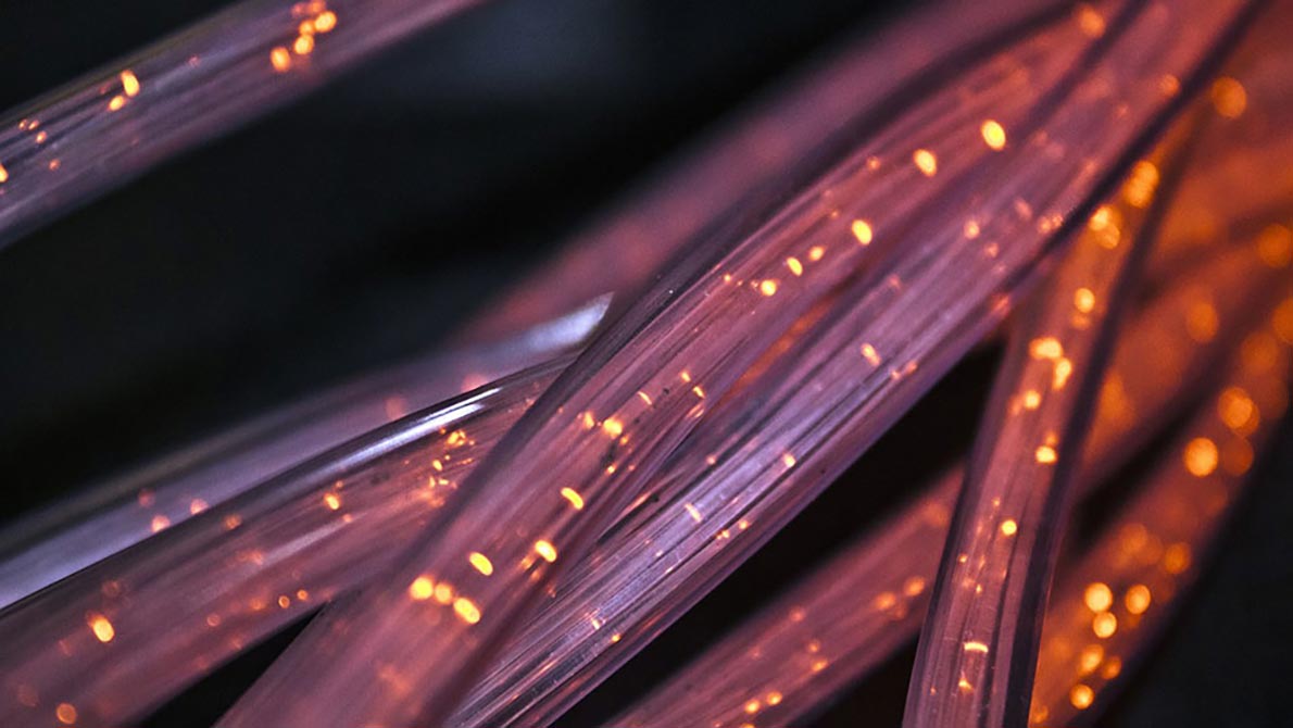 close up photo of red and transparent fiber optic lines