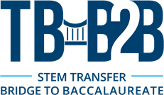 Tampa Bay Bridge to Baccalaureate Program logo