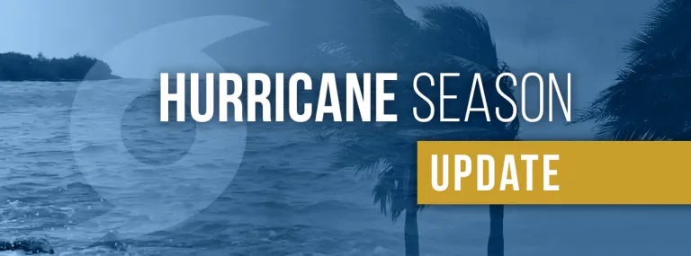 hurricane season update banner, blowing palm trees and rough water